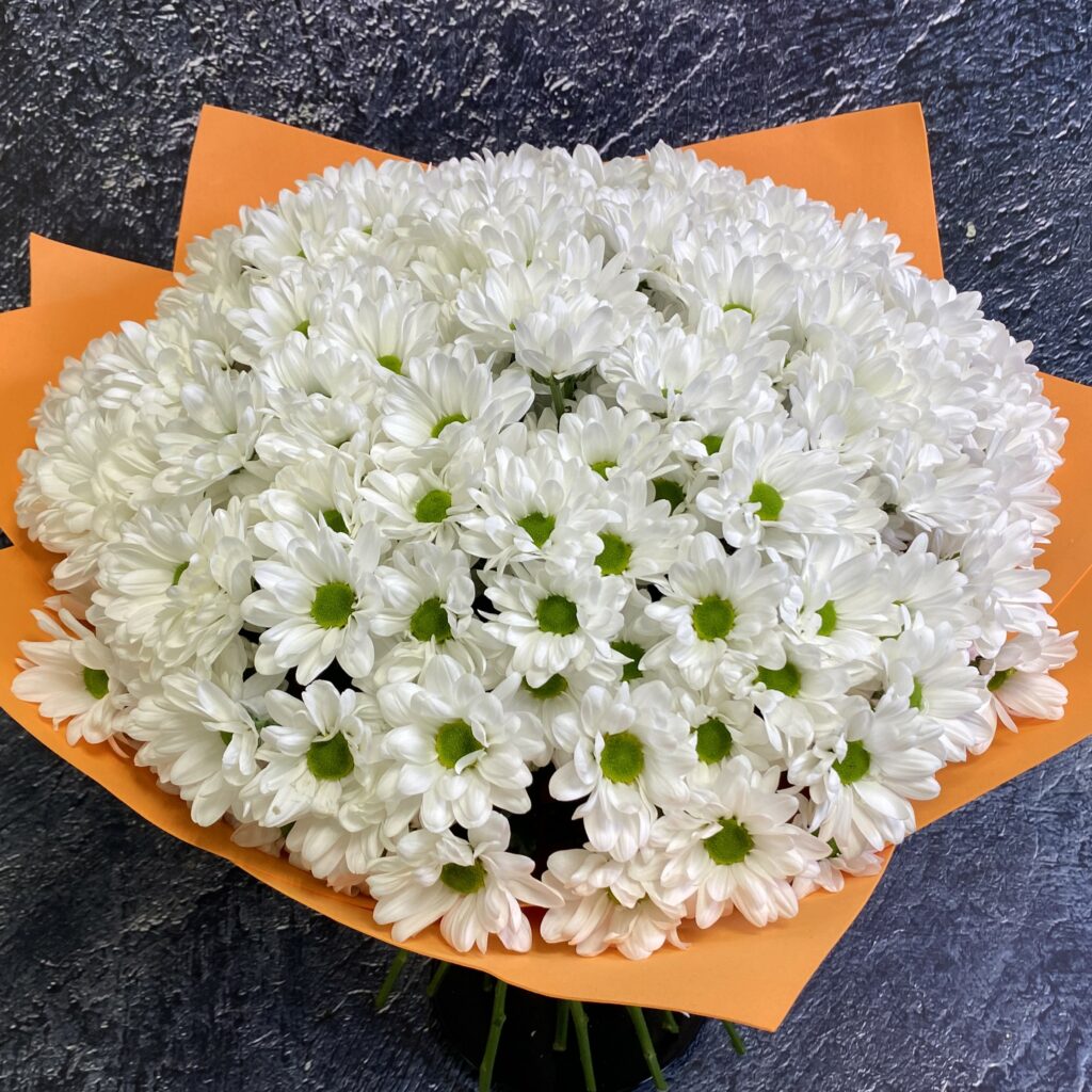 27 хризантем ромашек