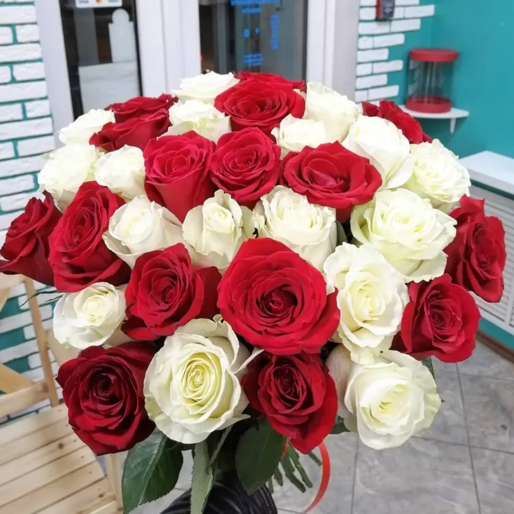 красные и белые розы