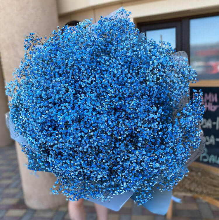 ƒαℓѕє ѕтуℓє #flowers #blue #cute #tagforlikes #L4L #color #colors Синие цветочны
