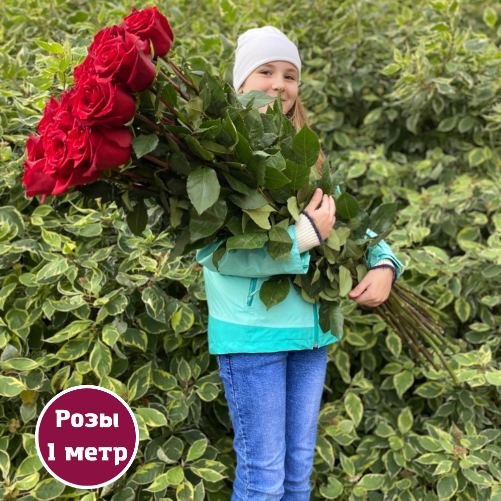 метровые розы