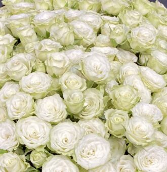 Букет белых кустовых роз, 60см