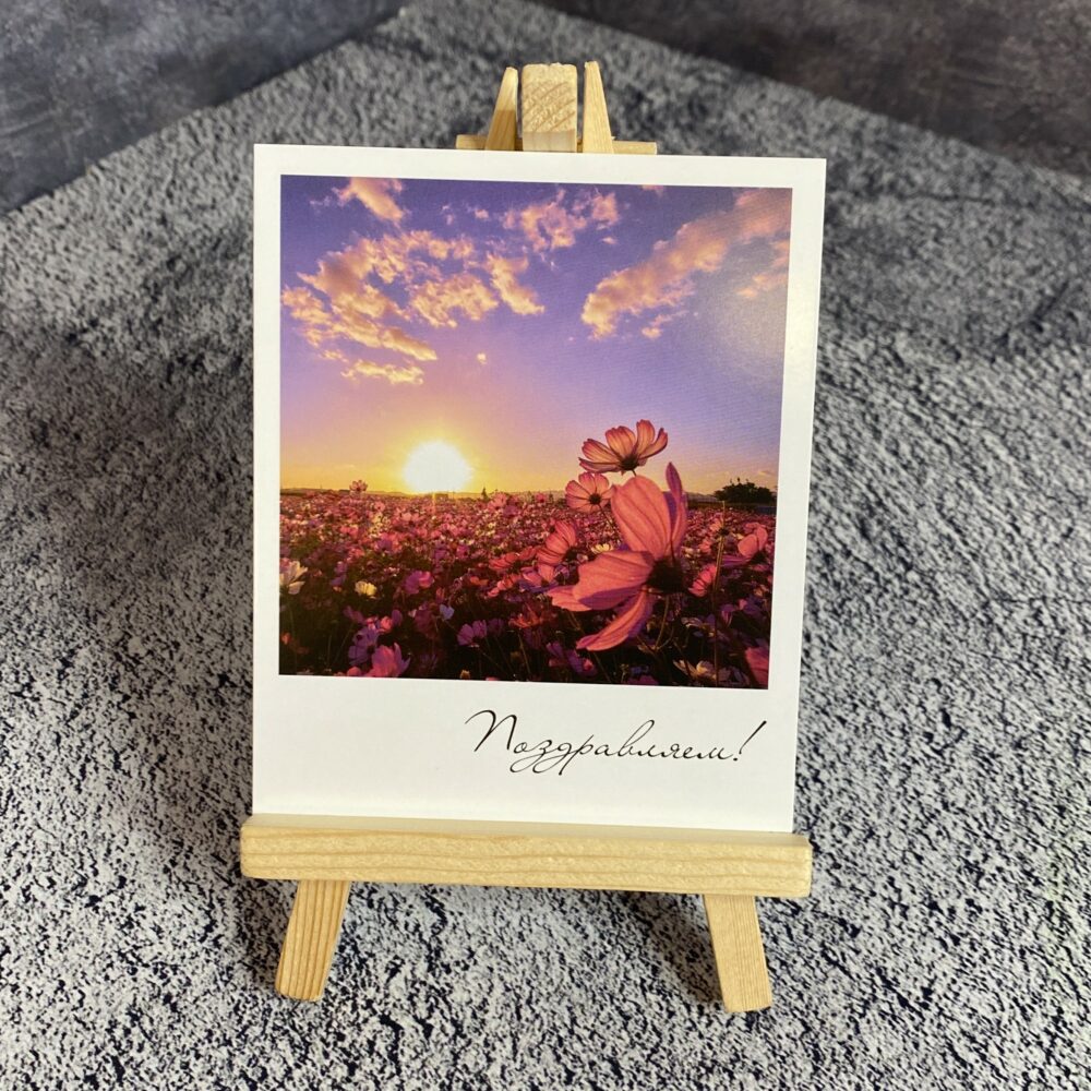 Фотокарточка 554