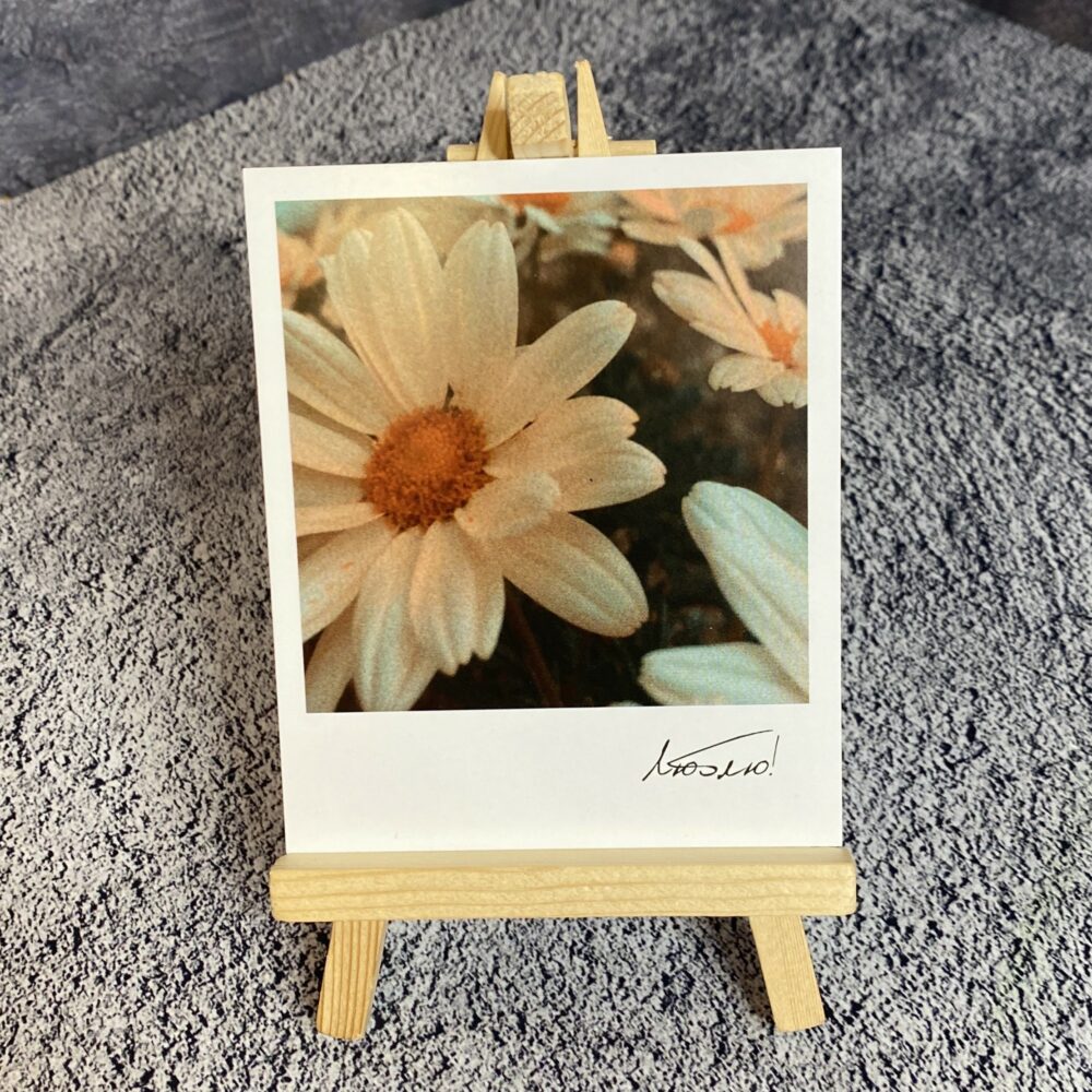 Фотокарточка 545