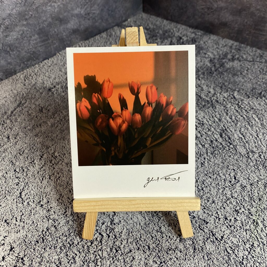 Фотокарточка 542