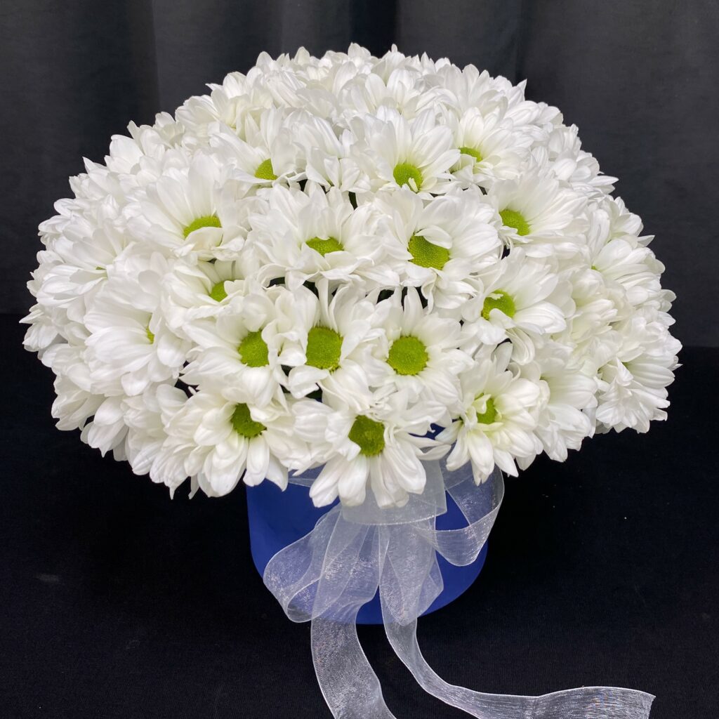 Цветы в коробке 'Нежная Белоснежка' (ВН)